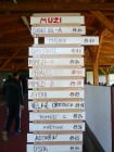 Foto ze soutěží - rybářské závody