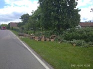 Vítr s deštěm v noci z 29.6. na 30.6. v naší obci