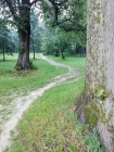 Přívalový déšť - 9. července 2021