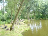 Foto ze soutěží - rybářské závody