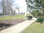 Jarní ošetření dřevin na parku