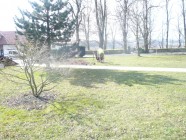 Jarní ošetření dřevin na parku