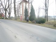 Jarní ošetření dřevin na parku