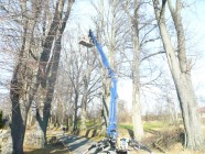 Péče o dřeviny v obcích Mikroregionu LITOMYŠLSKO - v obci PERÁLEC