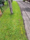 Rekonstrukce sítě CR Perálec čp 104 knn a 34 knn